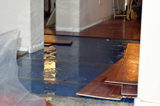 Professional Sewage Cleanup technician working in Shafer, MN